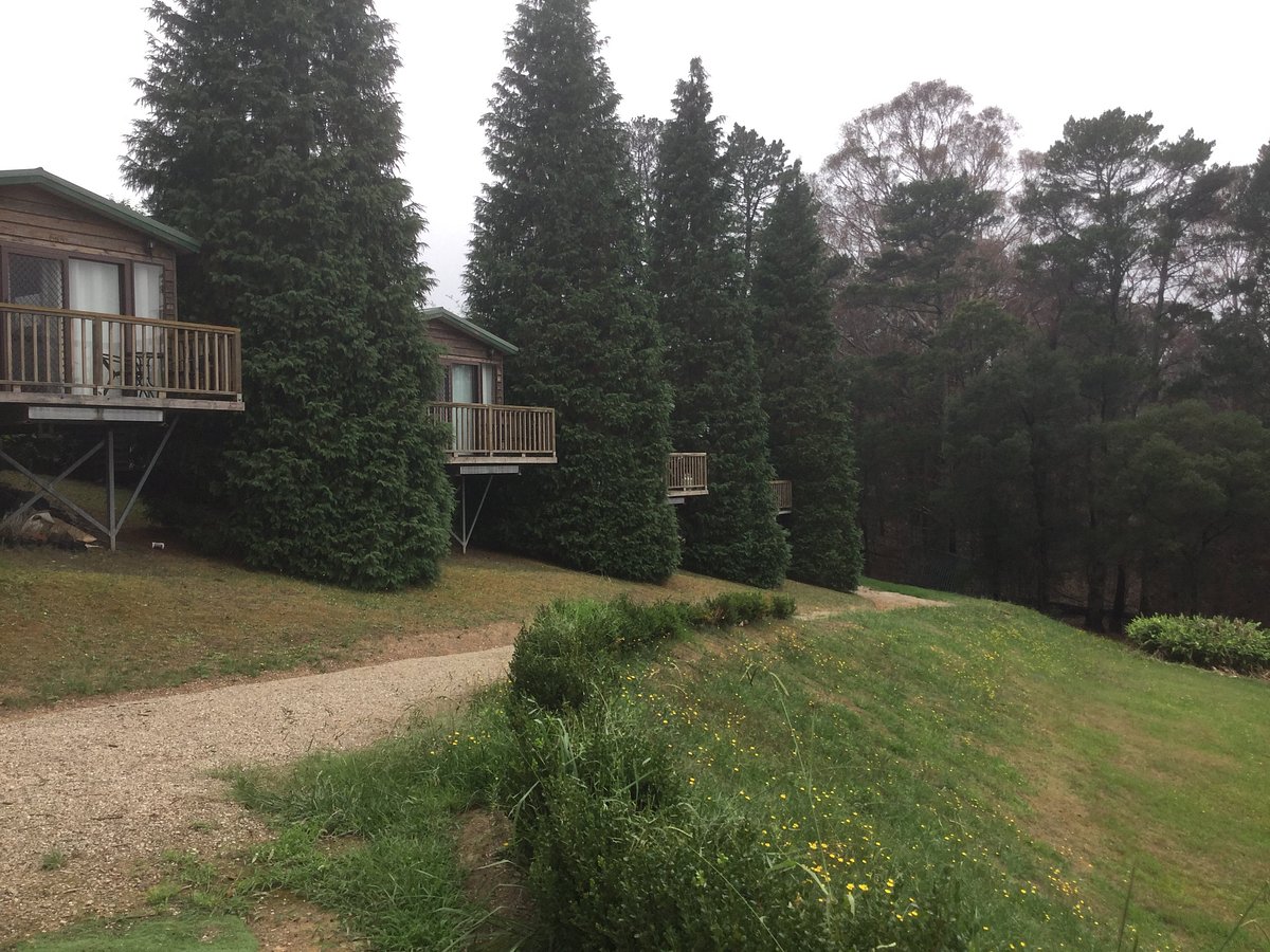 Mountain Devil Bed and Breakfast — accommodation